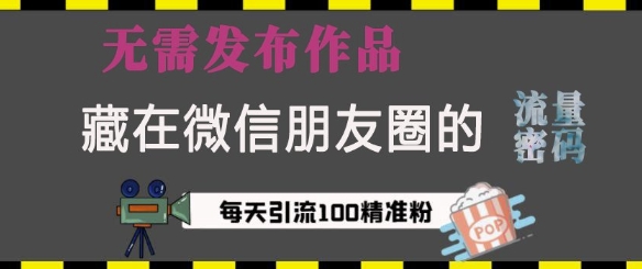 藏在微信朋友圈的流量密码，无需发布作品，单日引流100+精准创业粉【揭秘】-得宝宝