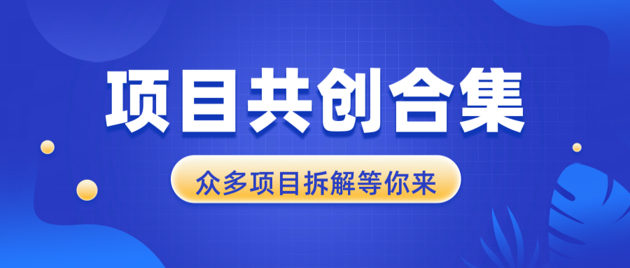 项目共创合集，从0-1全过程拆解，让你迅速找到适合自已的项目-得宝宝